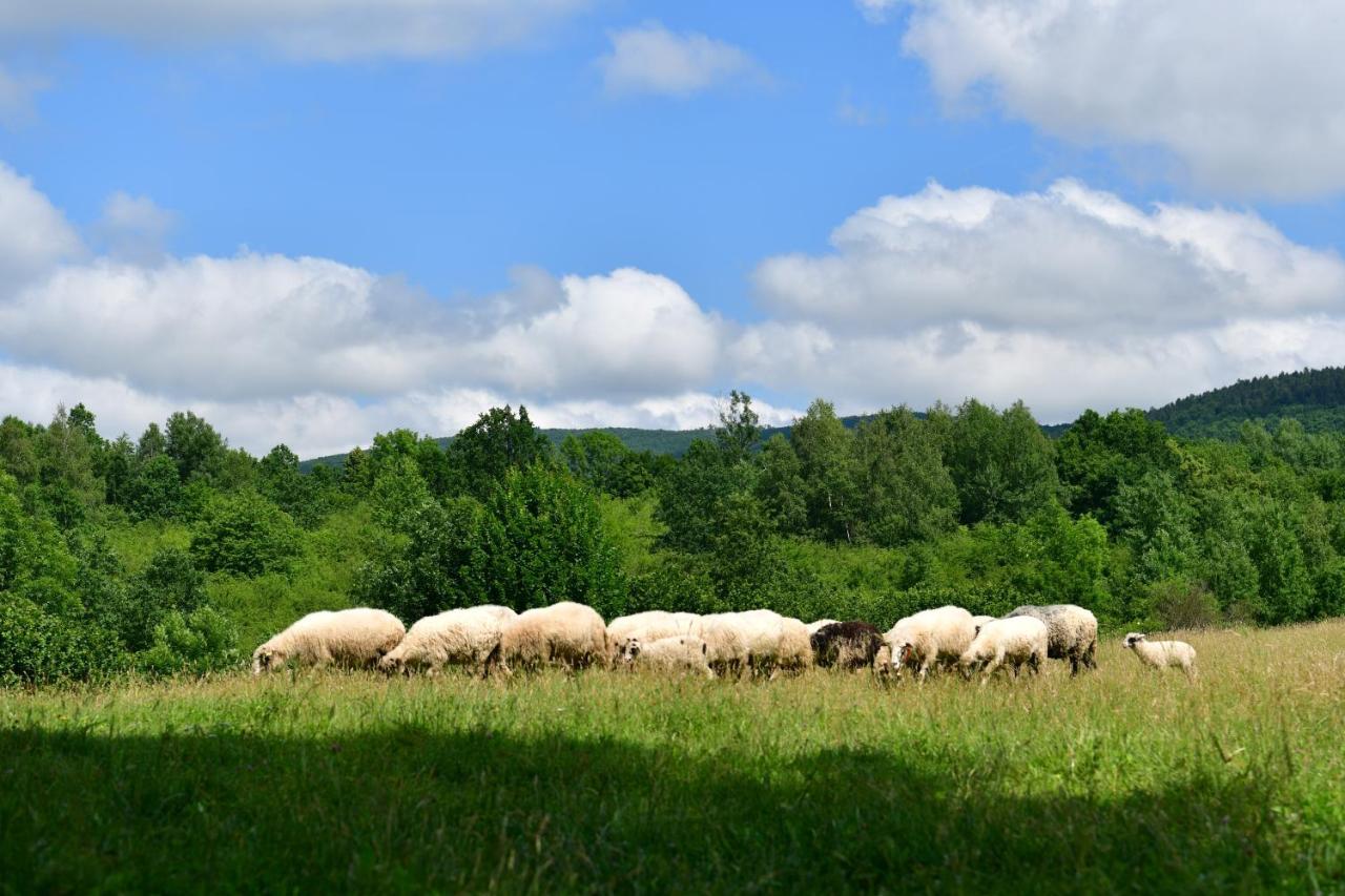 Natura Hause Rakovica Esterno foto