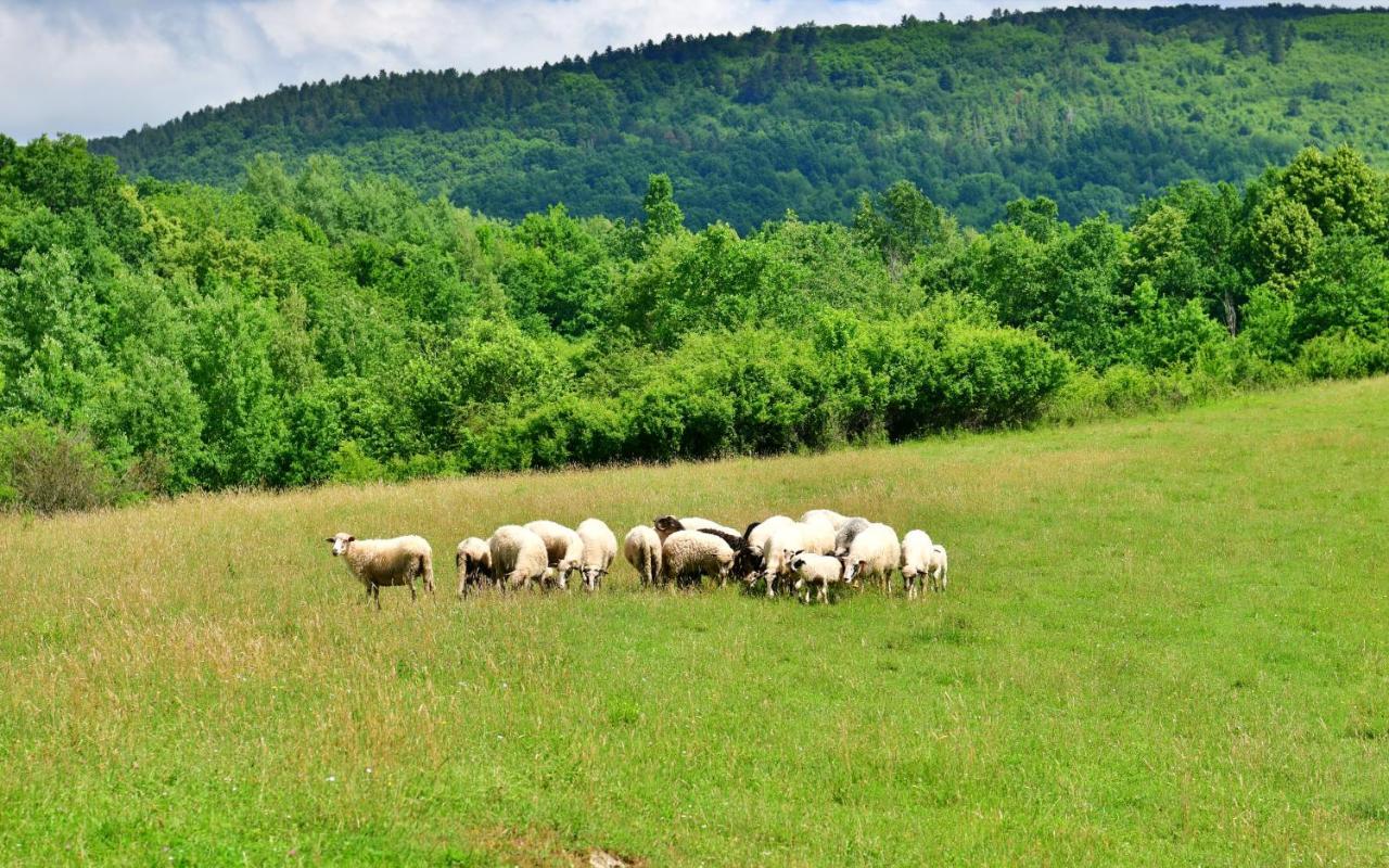 Natura Hause Rakovica Esterno foto