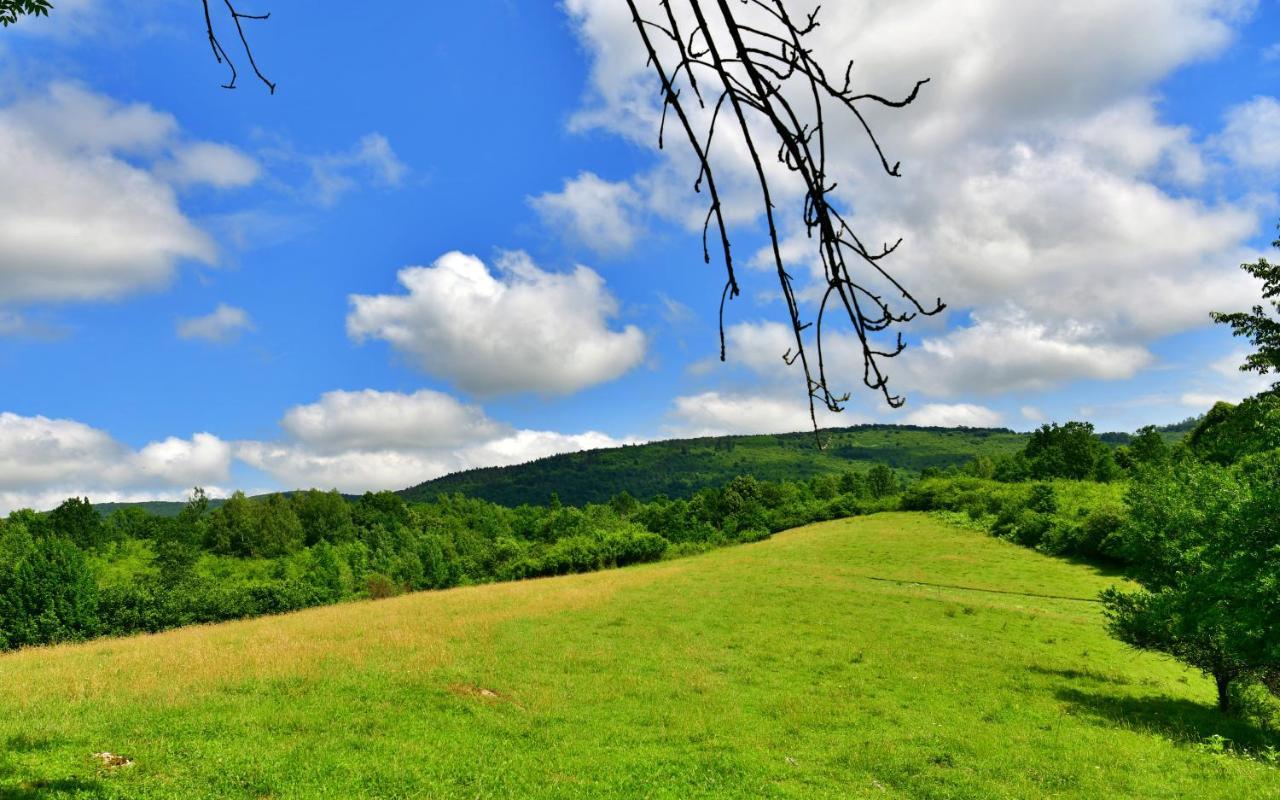 Natura Hause Rakovica Esterno foto