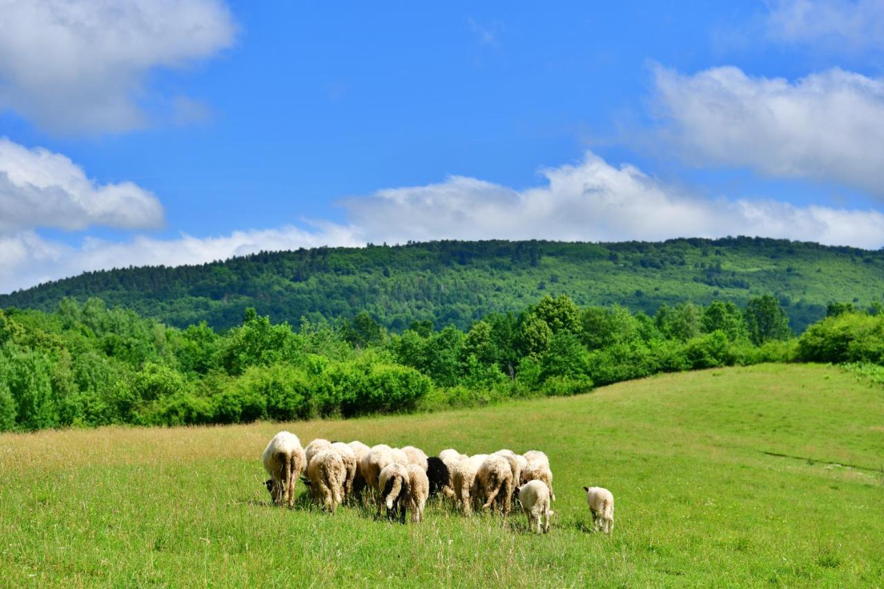 Natura Hause Rakovica Esterno foto